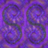 purple